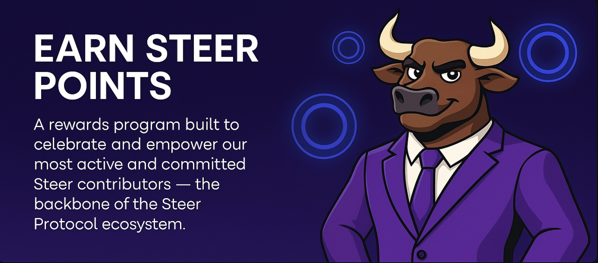 Steer Points Program
